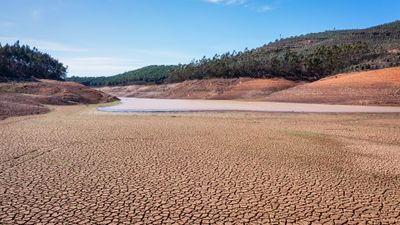 Governing Climate Risk