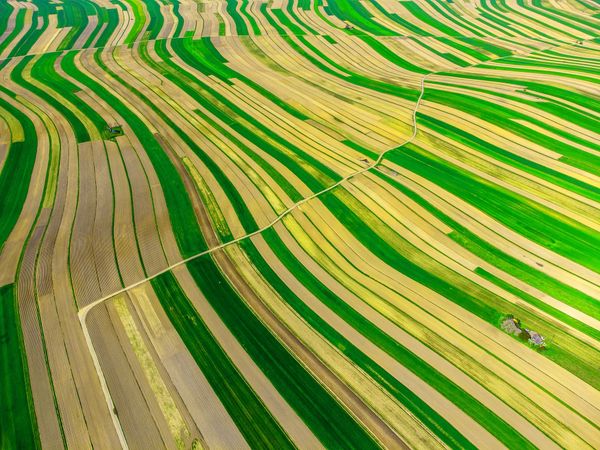 Woza's Geospatial Revolution: Greening Agriculture with Google.