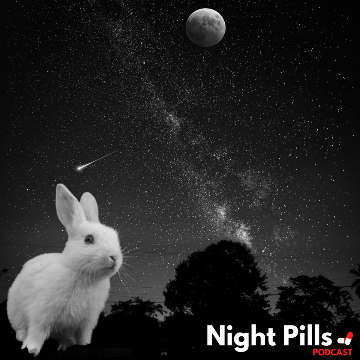 Night Pills Podcast - Rabbit on the Moon