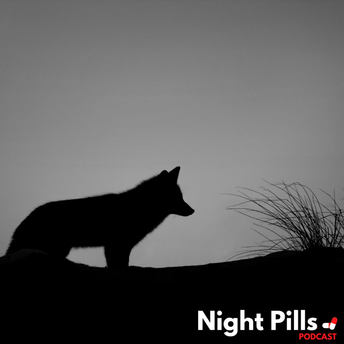 Night Pills Podcast - Siberian Education