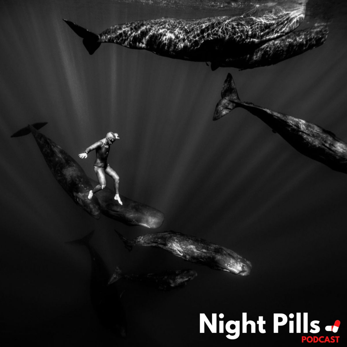 Night Pills Podcast - Guillaume Nery