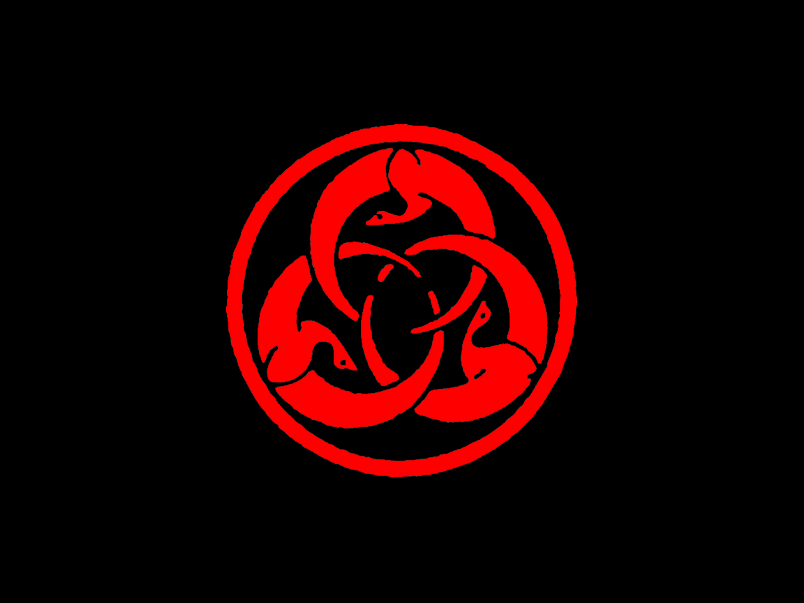 Samurai, Jung & Near Death Experience