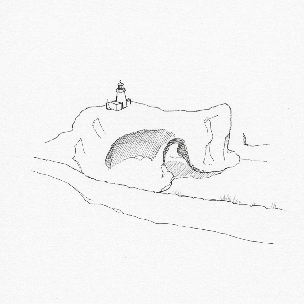 Step 8