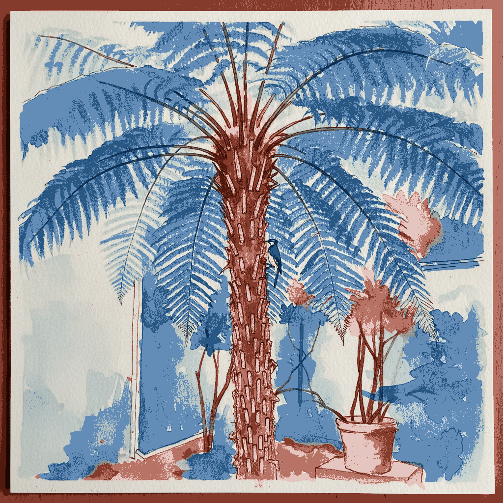 Australian tree fern example 3