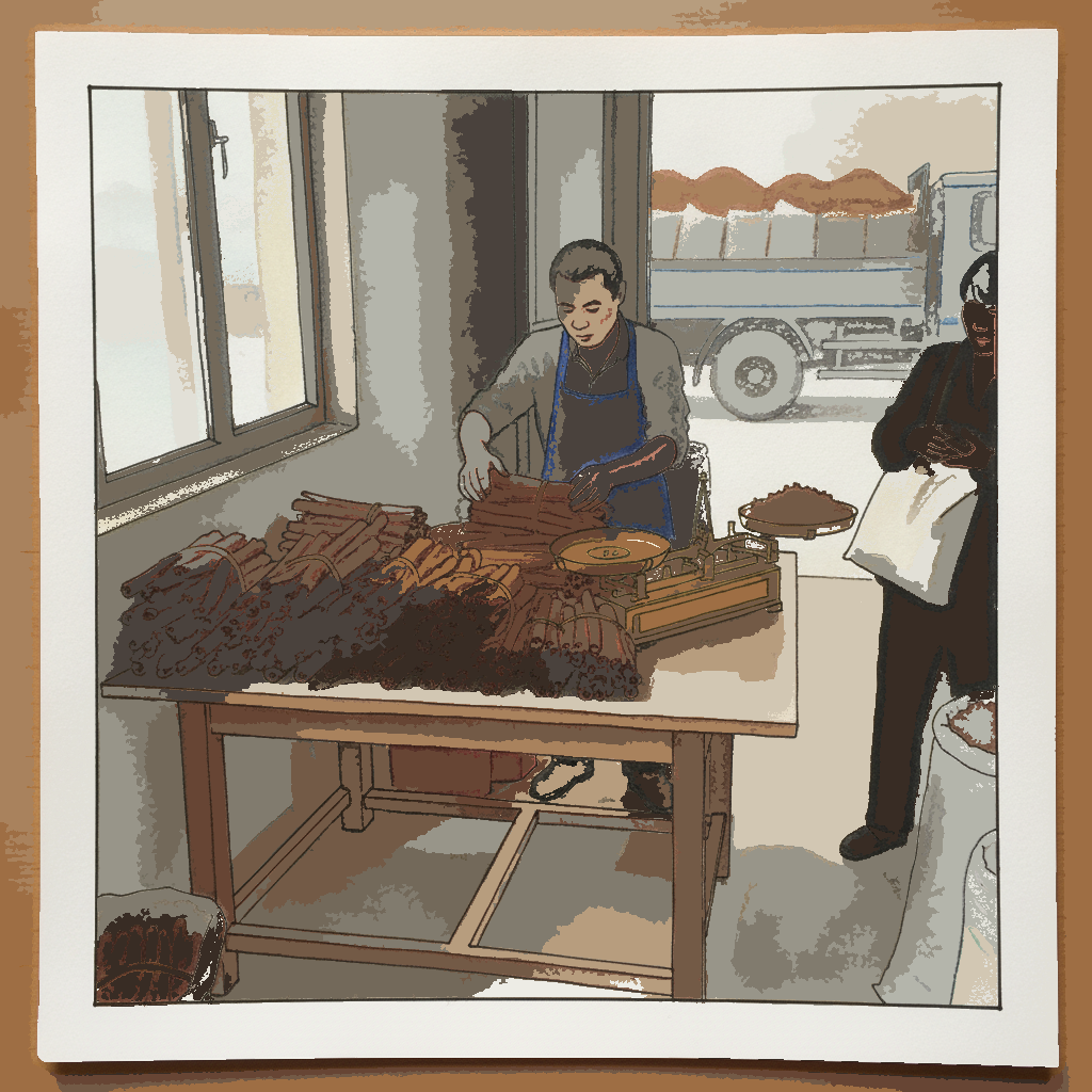 Cassia cinnamon example 3
