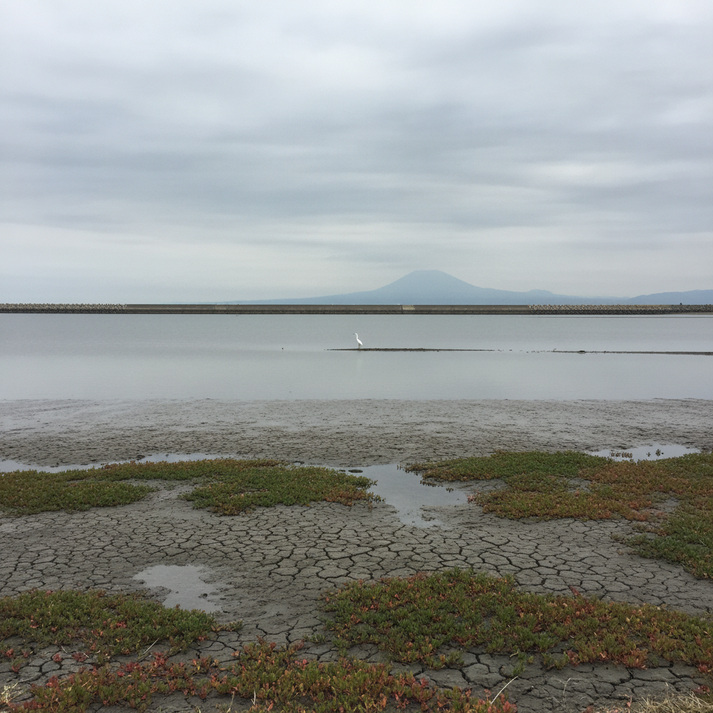 Yatsushiro Sea reclaimed mudflat near Isahaya, Kyushu, Japan photo reference