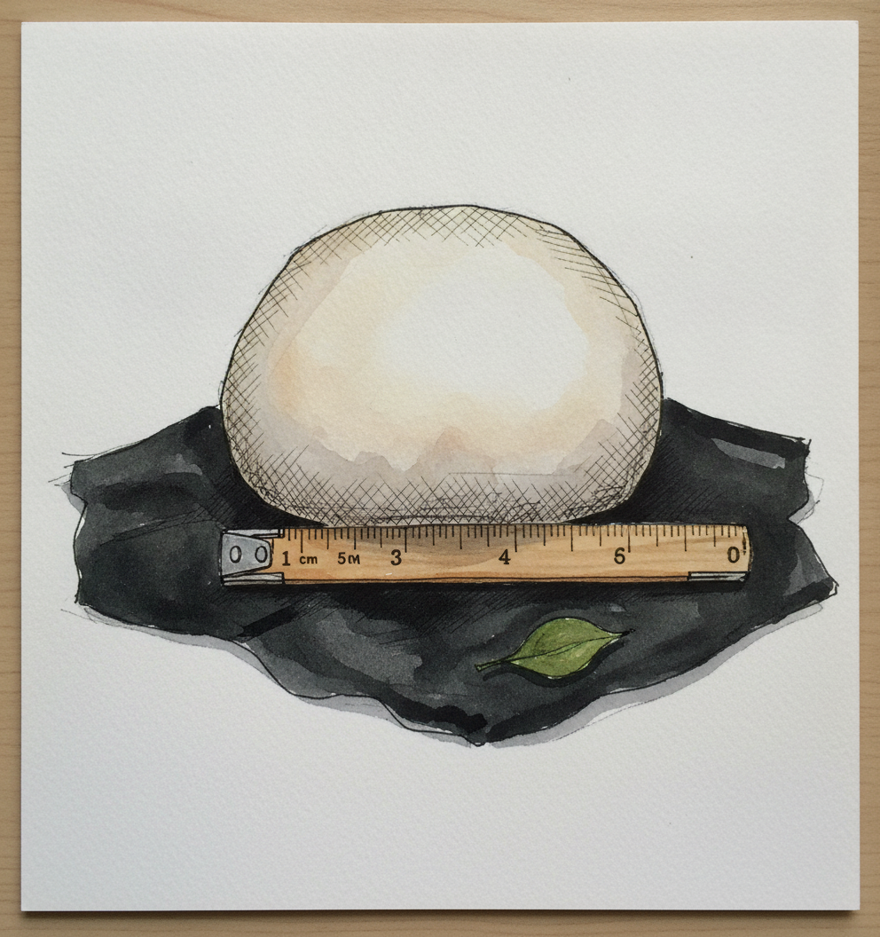 Puffball and tape measure example 2