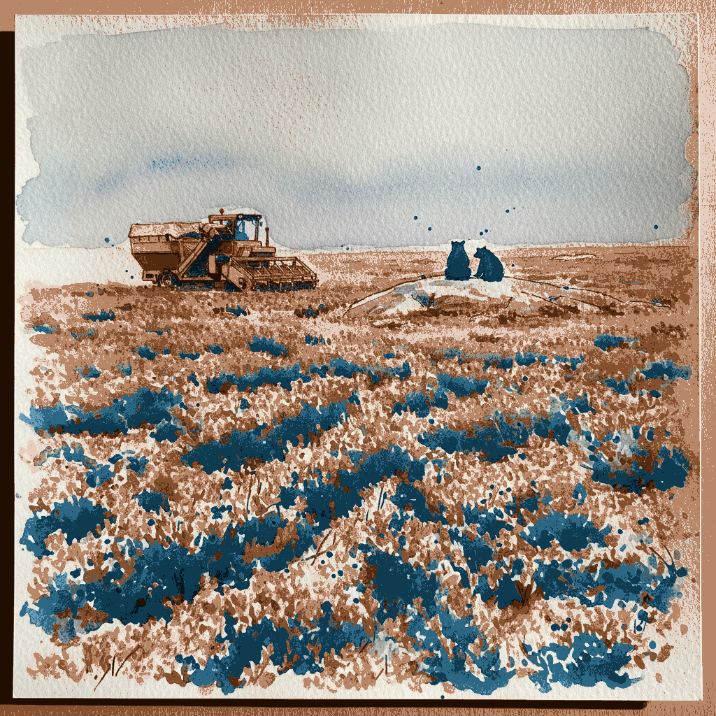 Lowbush blueberry example 3