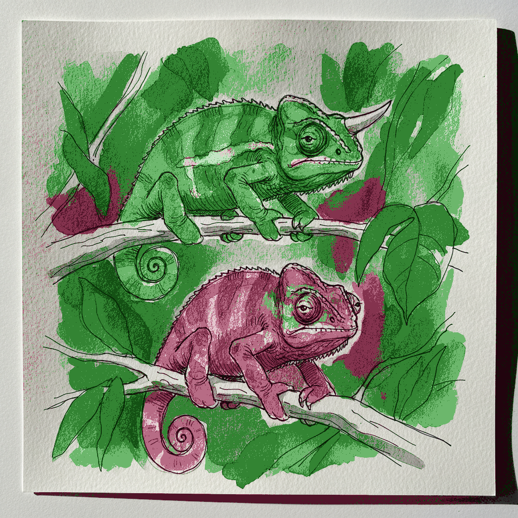 Jackson's chameleon example 3