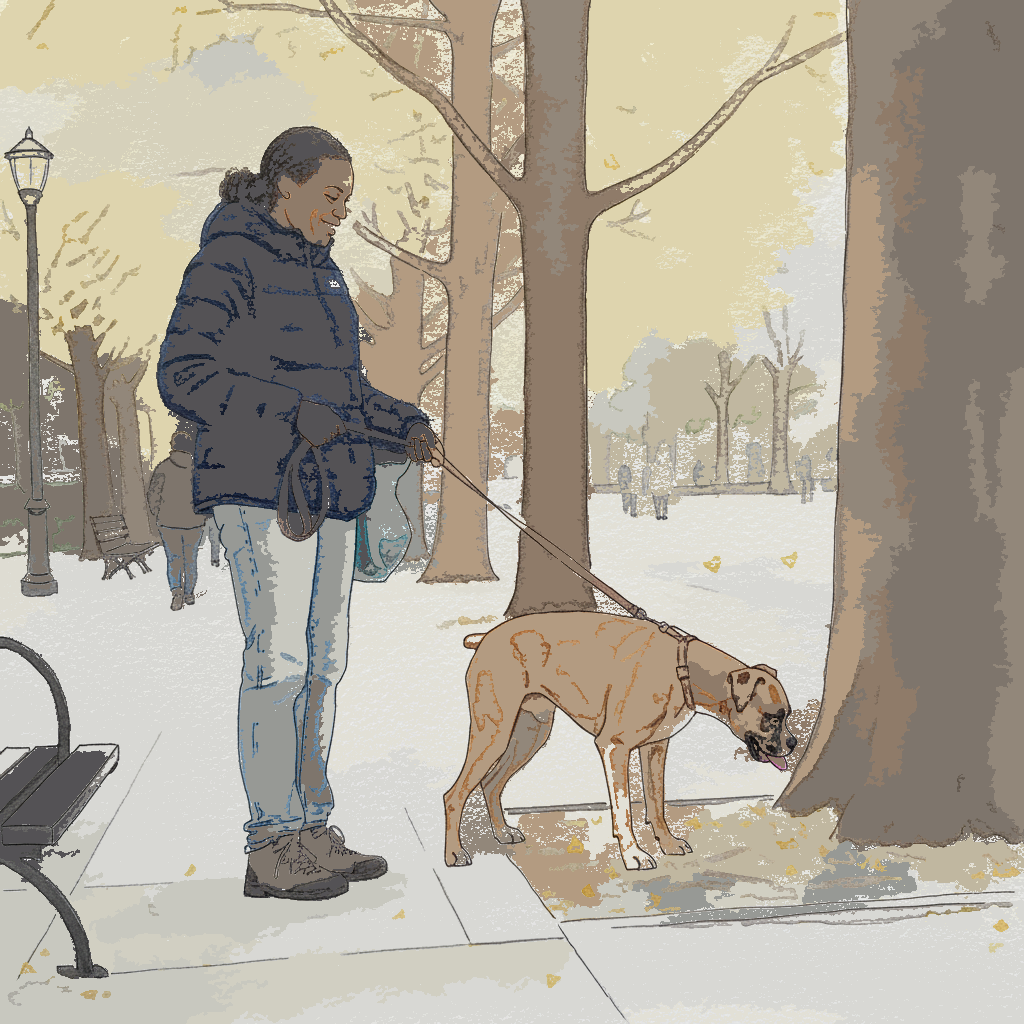 Person walking dog on leash example 3