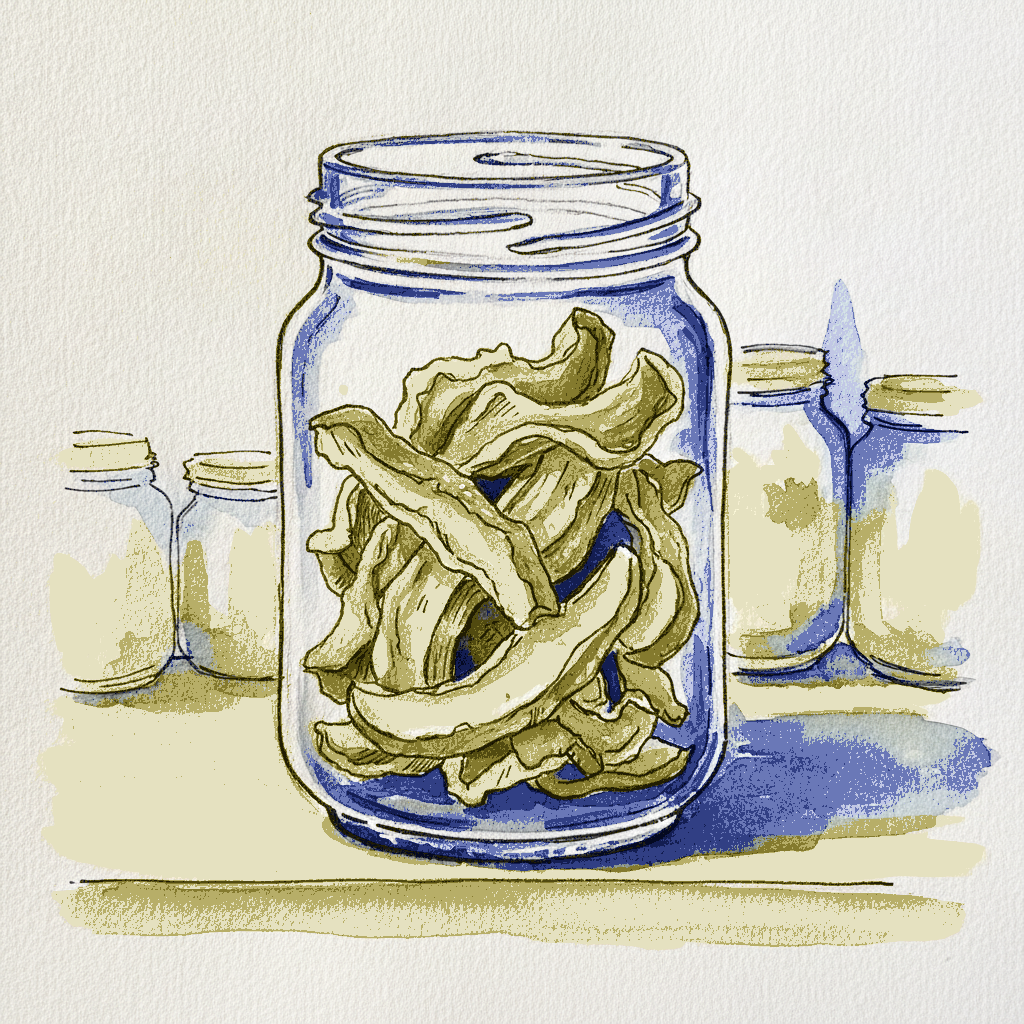 Dried Porcini in Glass Jar example 3