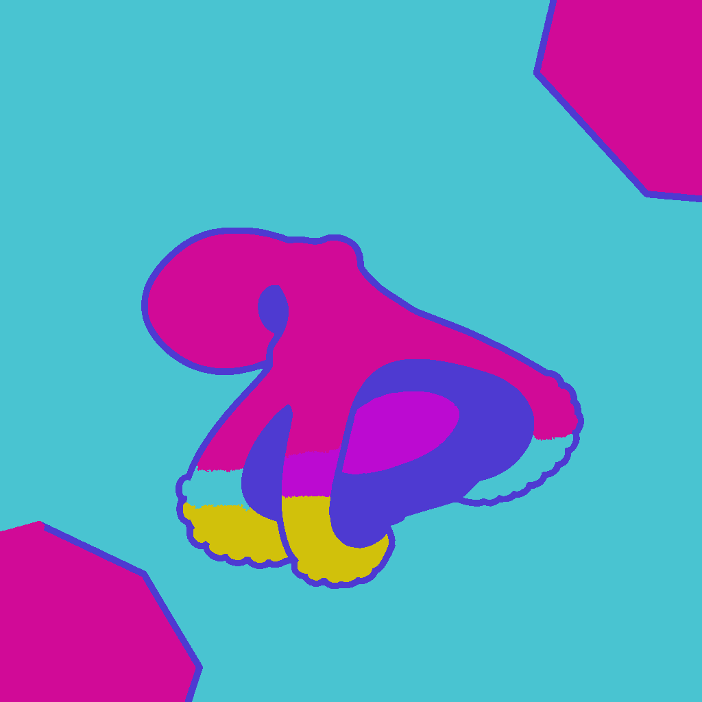 Giant Pacific octopus example 3