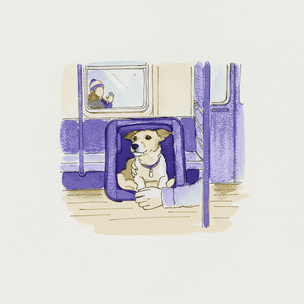 Dog in subway carrier example 3