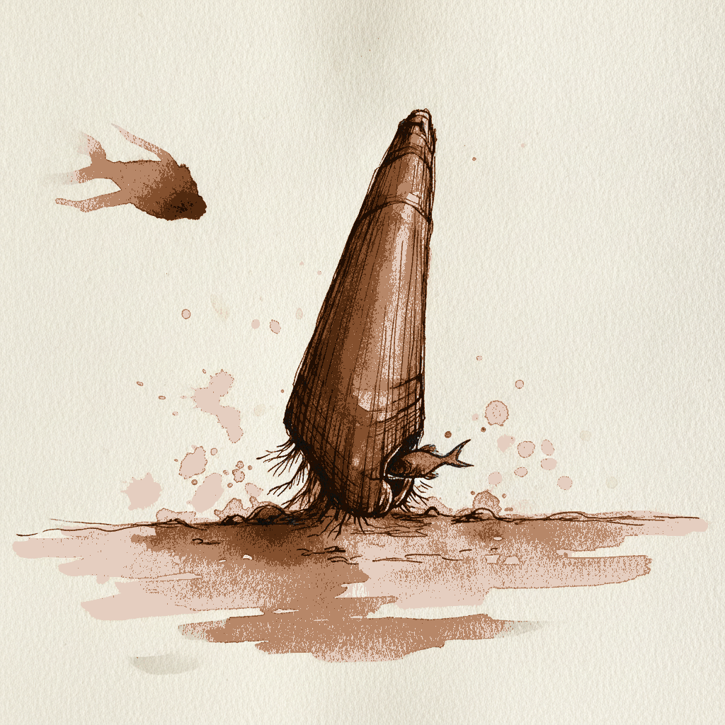 Pen shell example 3