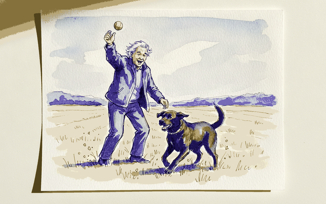 Person throwing ball for dog example 3