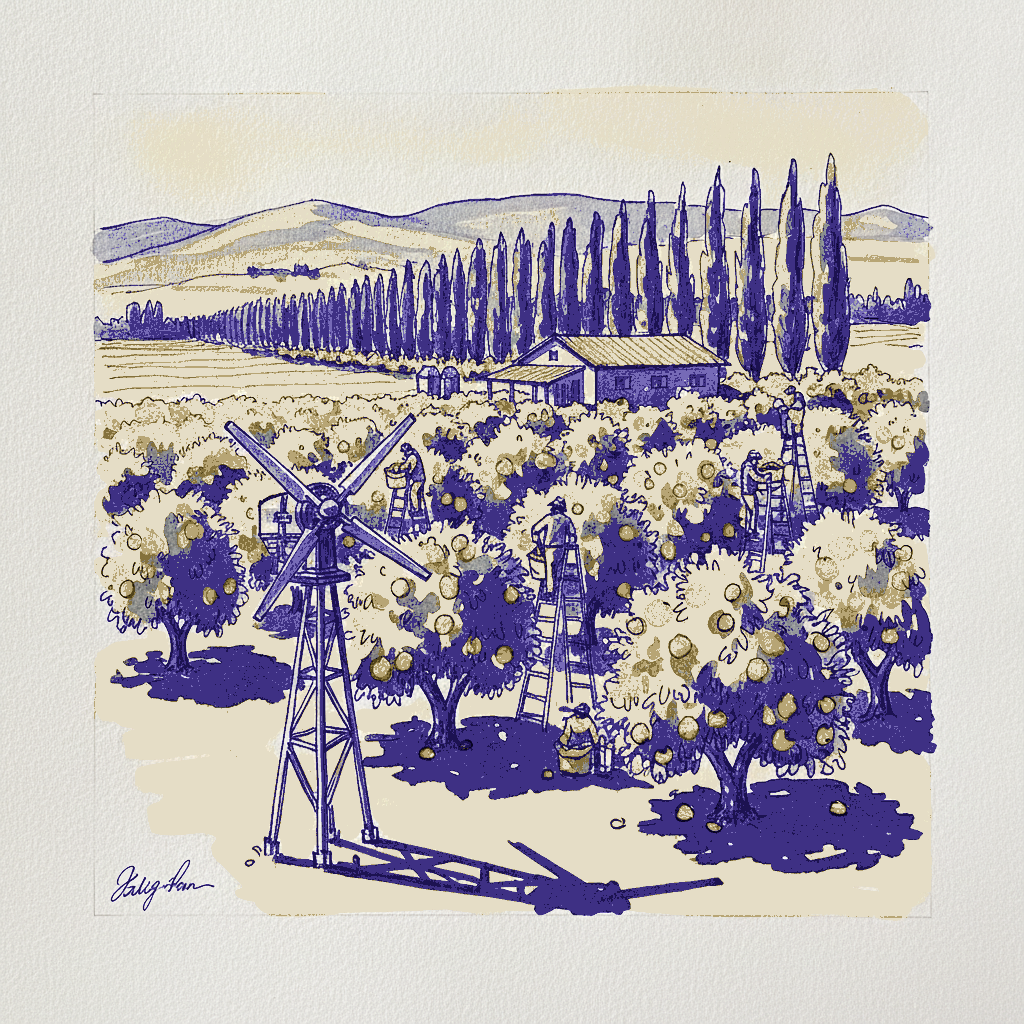 Santa Paula citrus, California, USA example 3