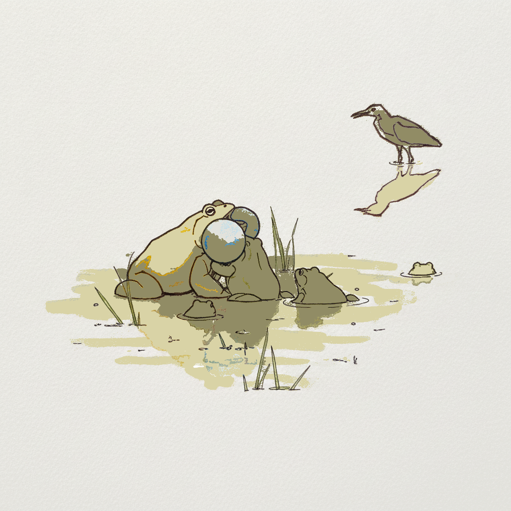 Indian bullfrog example 3