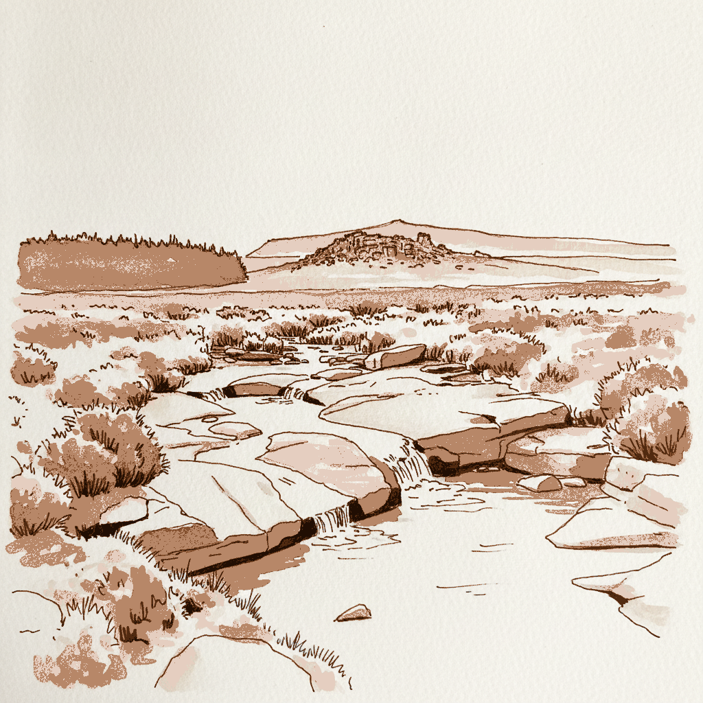 Bellever, Dartmoor example 3