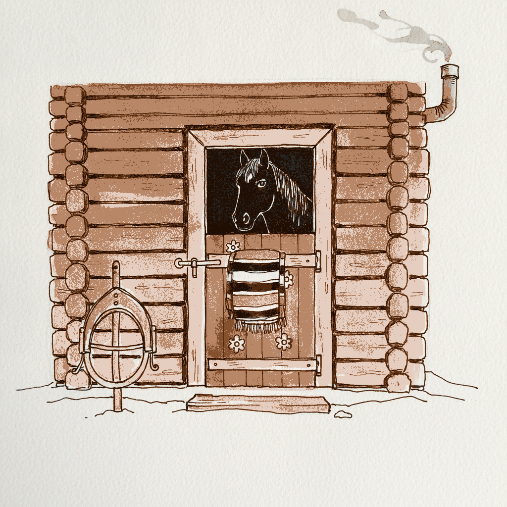 Romanian Carpathian Stable example 3