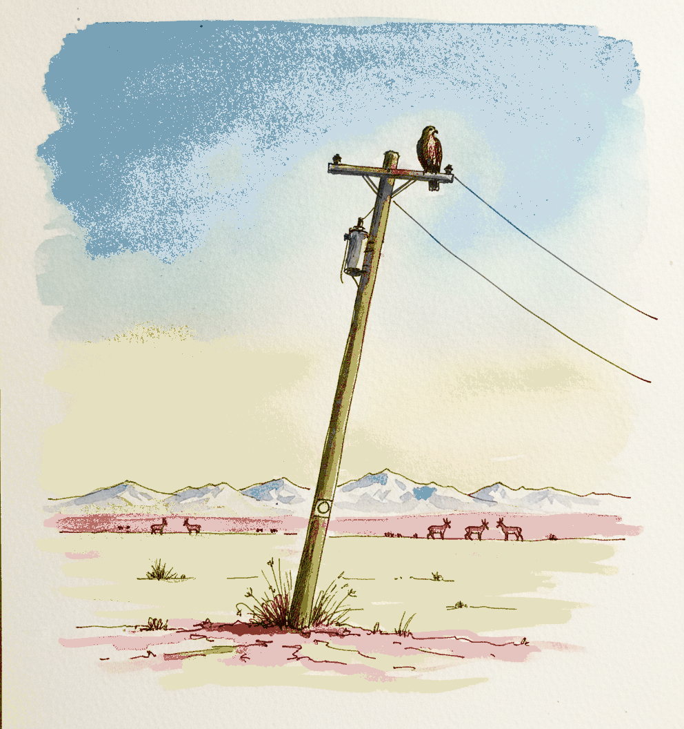 Wyoming Highway Pole example 3
