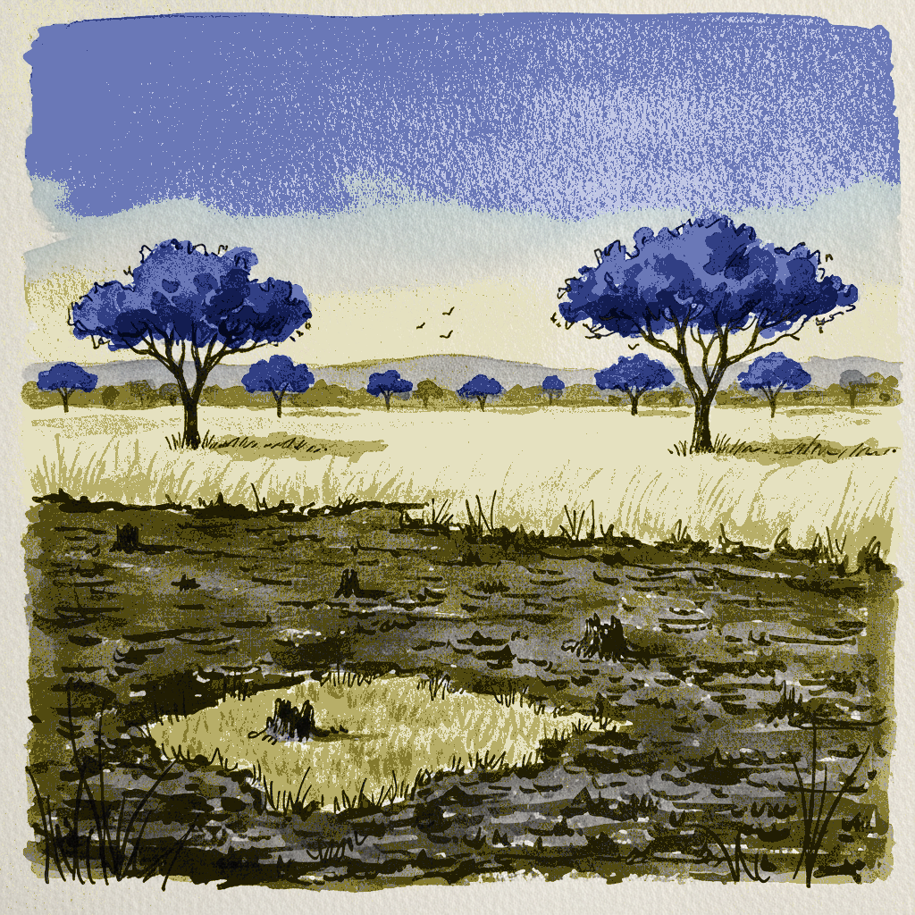 Fire-scarred grassland with regrowth, Kruger — central section after late winter burn example 3