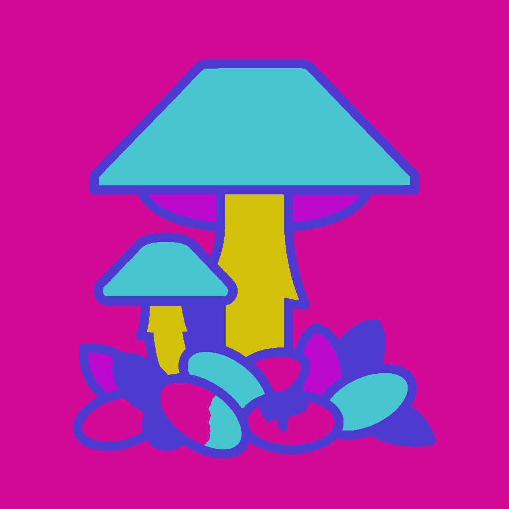 Fool's webcap (Cortinarius orellanus) example 3