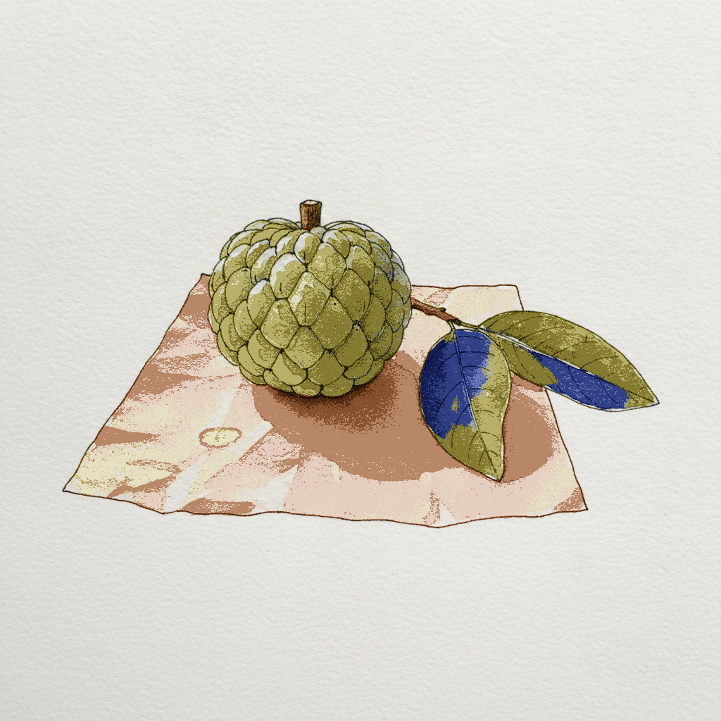 A custard apple beside its leaves example 3