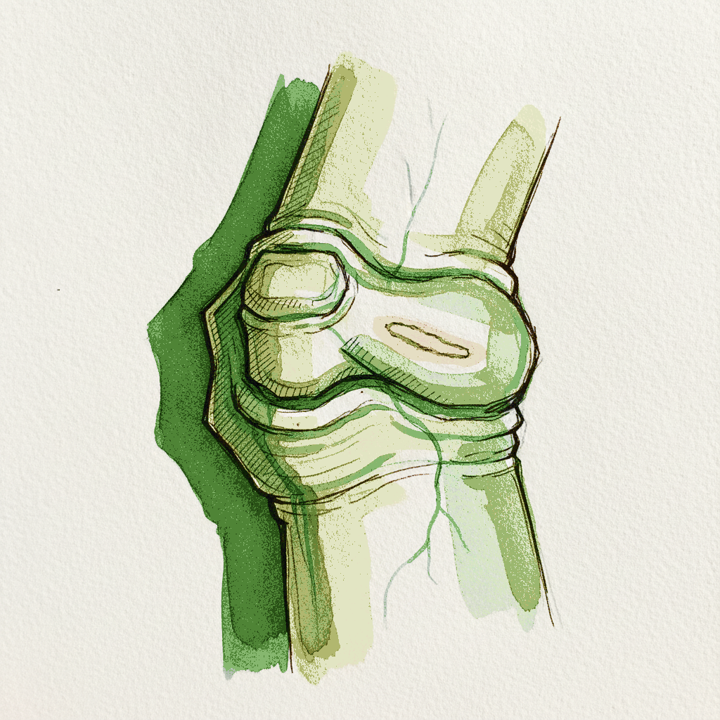 Aging Knuckle Closeup, Mixed-Race Woman 70s example 3