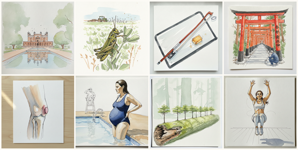 Tomb of Jahangir, Lahore, Pakistan, Differential grasshopper, Bow with horsehair detail, Inari shrine donor-torii in shocking new paint, and more — pen + watercolor for June 9, 2026