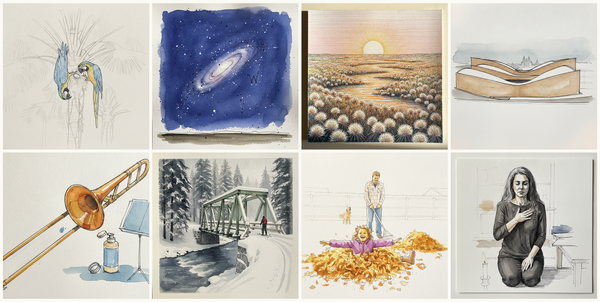 Blue-and-yellow macaw, Andromeda Visible Naked-Eye, Midnight sun horizontal light across North Slope tundra, Alaska, June, City of Culture of Galicia, Santiago de Compostela, Spain, and more — pen + watercolor for July 21, 2026
