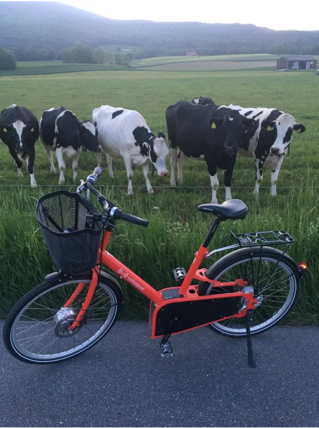 The Cheese-Flipping Robot.