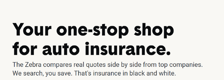 Zebra webpage screen