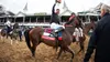 The Island That Produces Kentucky Derby Champions: How Puerto Rico Became the World’s Greatest Jockey Factory