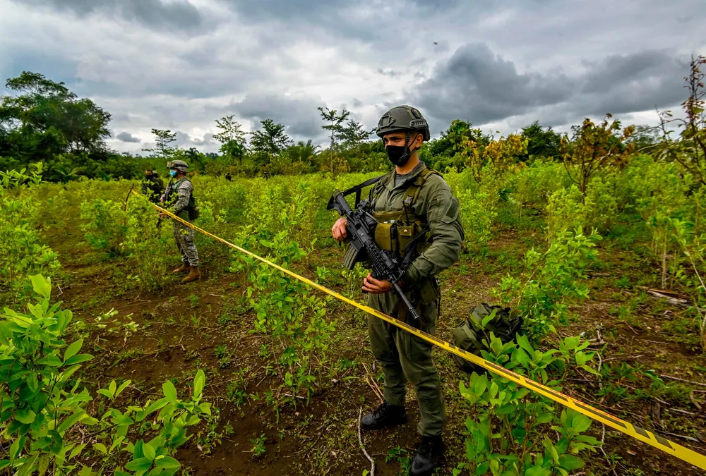 Colombian Government to Deploy Drones to Reduce Record Coca Production