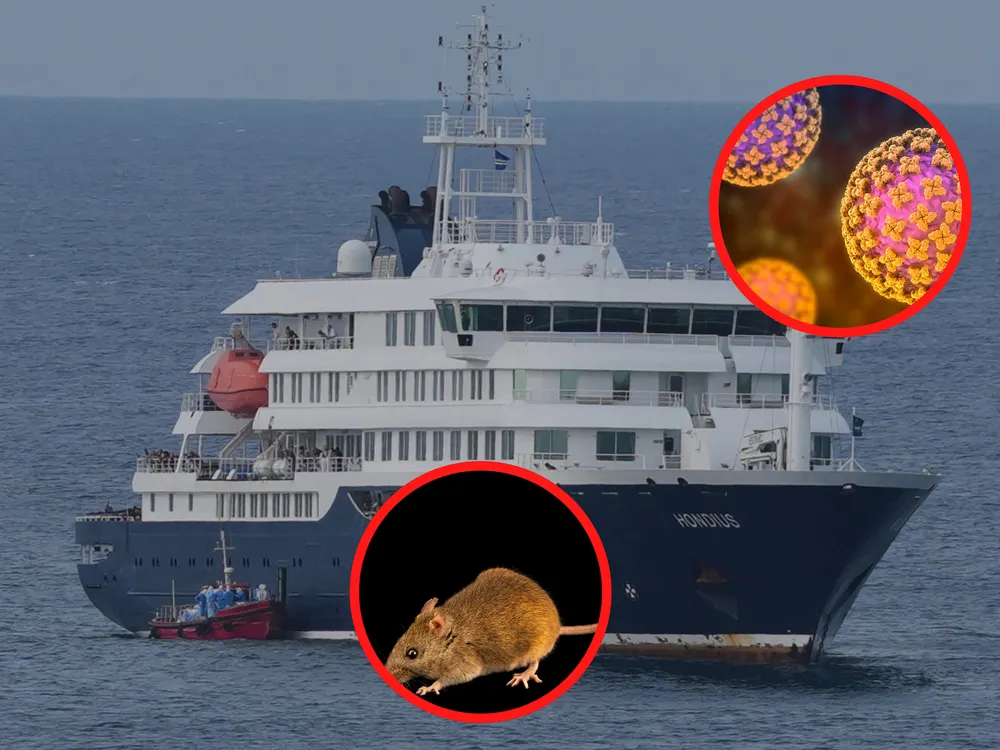 Argentina Confirms 41 Hantavirus Cases in 2026 as Authorities Scramble to Contain the Spread