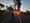 Michoacán Wakes Up to Roadblocks & Burning Vehicles After Overnight Operation Against CJNG
