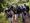 Mexico Deploys 1,500 Troops to Protect Avocado Country After U.S. Halts Inspections Over Security Threat