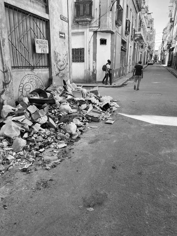 Cuba Sees Rise in Chikungunya Cases Amid U.S. Tensions in the Caribbean