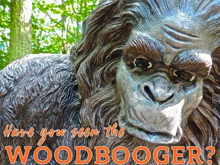 Woodbooger Season in Appalachia: Why America Still Believes in Bigfoot
