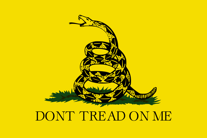 Why Liberals, People of Color, and LGBTQ Need the Second Amendment More Than Ever!