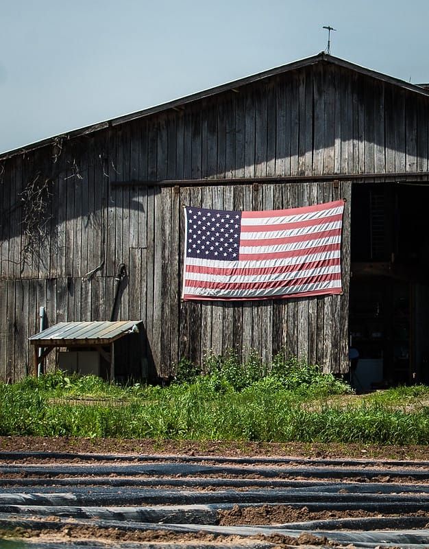What Democrats Keep Missing About Rural Patriotism