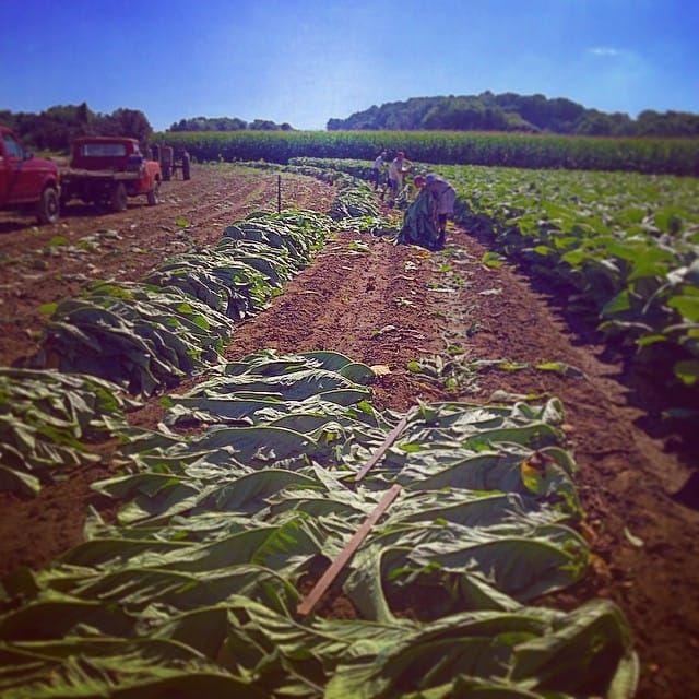 When Family Farms Were Middle Class