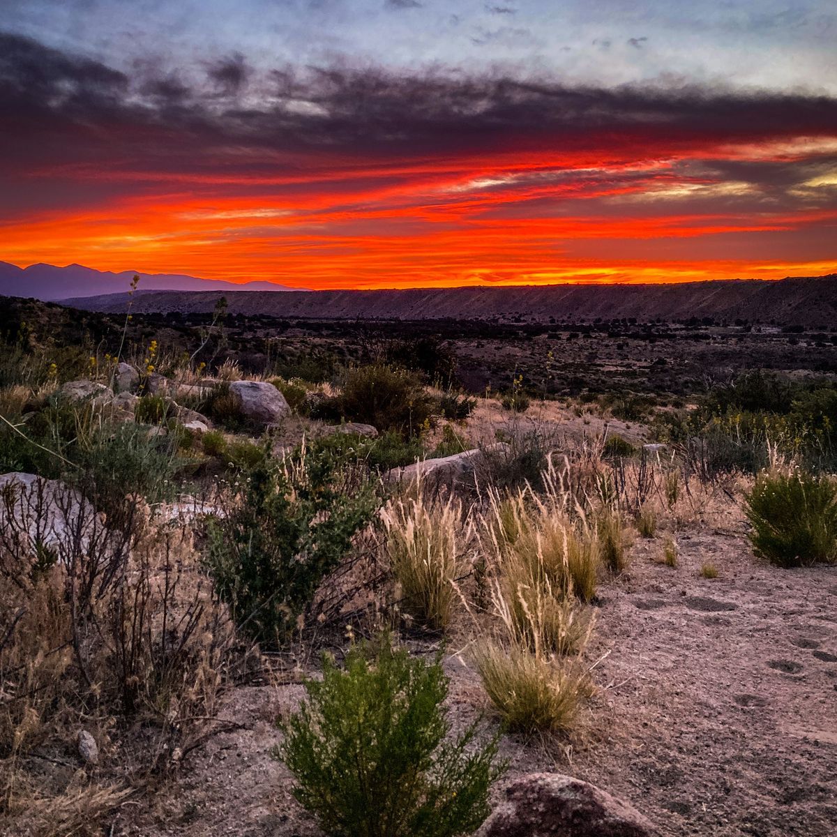 Updates from Apple Valley