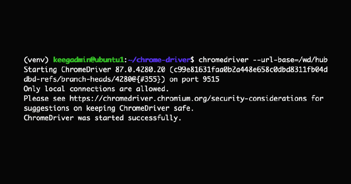 Setting up Chrome and Selenium with Python on a Virtual Private Server (Digital Ocean)
