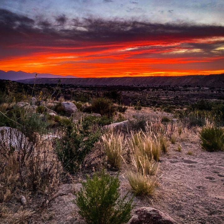 Updates from Apple Valley