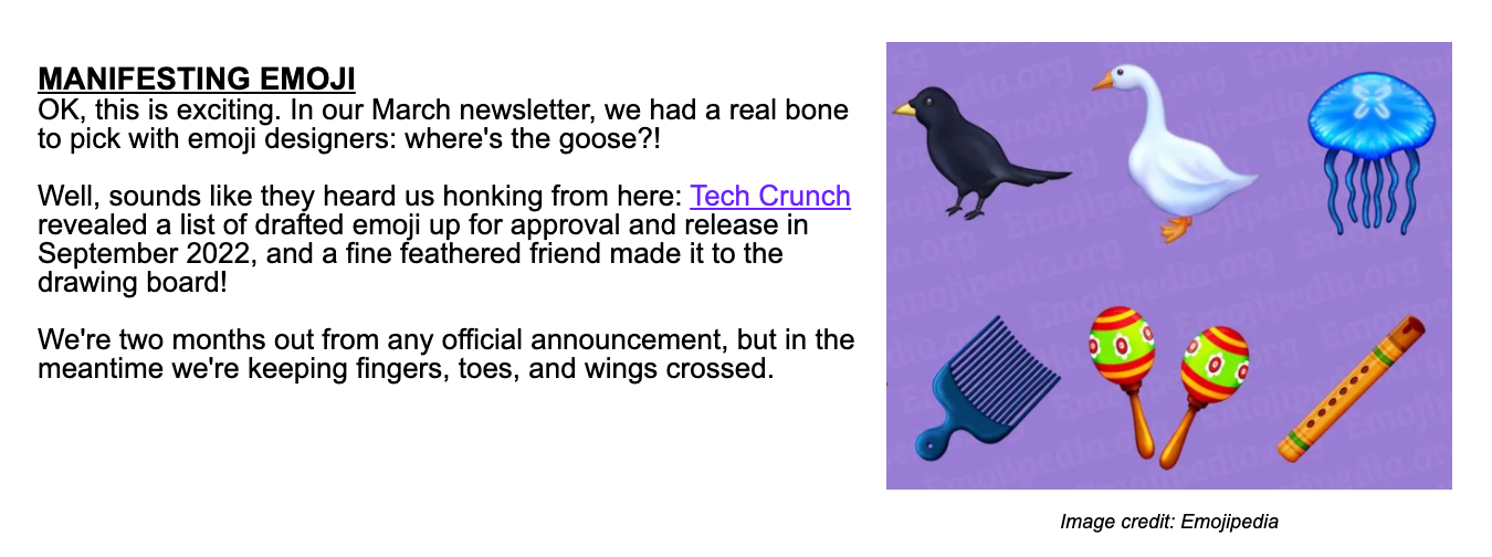 A screengrab from Goosechase's July 2022 newsletter
