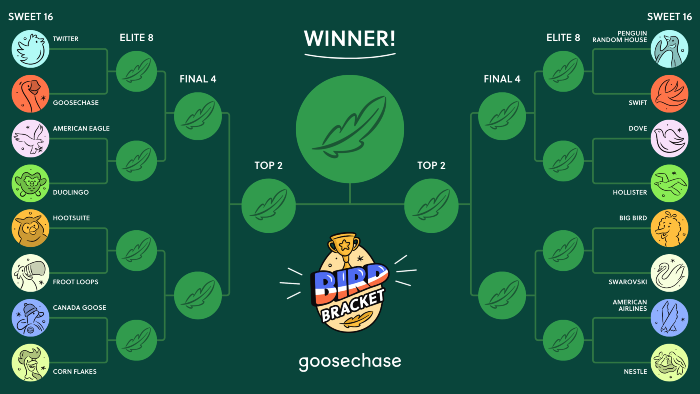 an illustration of a tournament chart with birds