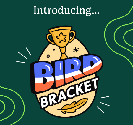 A trophy and the text "bird bracket" in the middle of a pattern of goose feet
