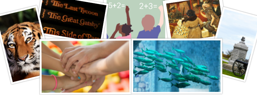 Collage of school subject images