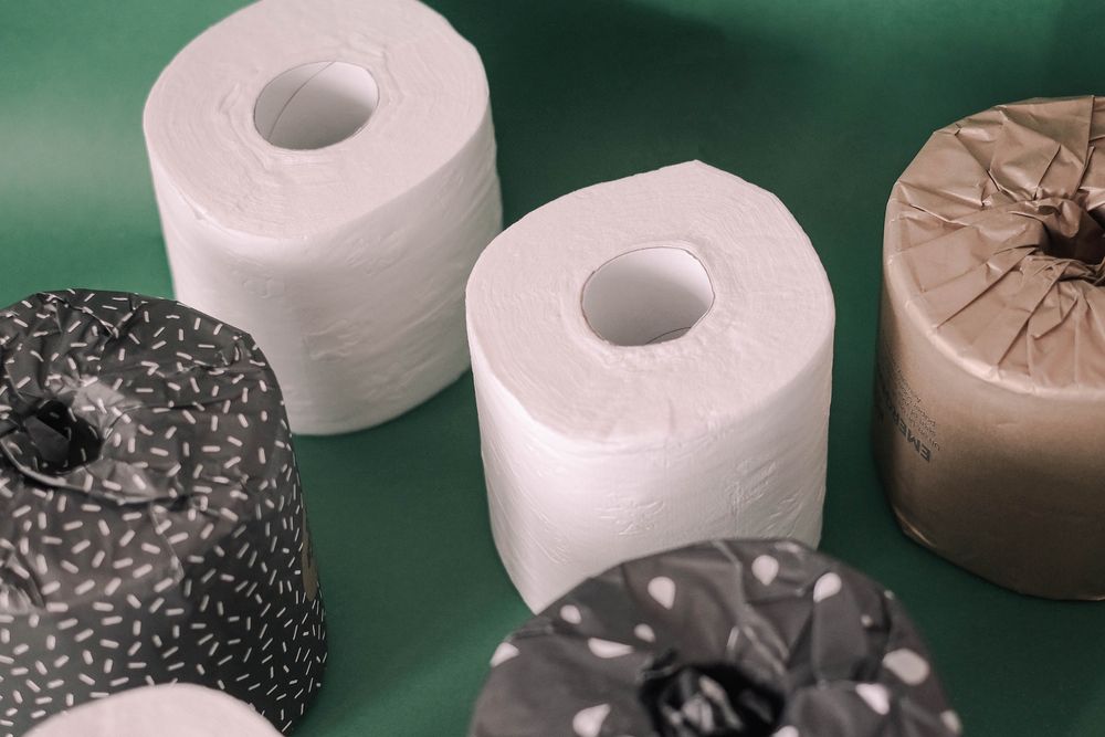 toilet paper rolls